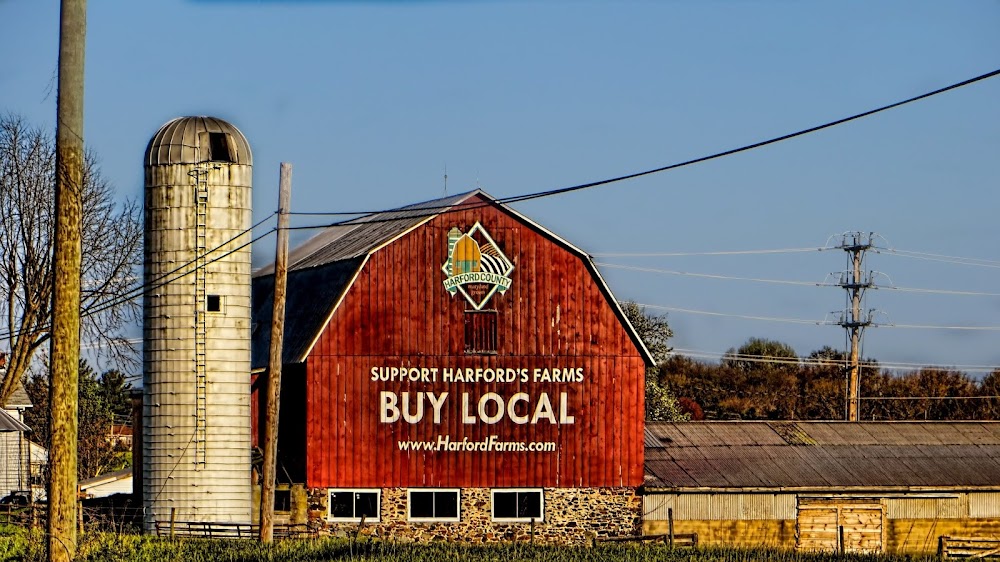 At Your Service Repairs Inc