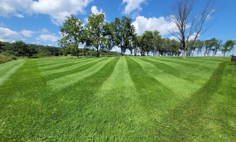 B.E. Lawn Services, LLC
