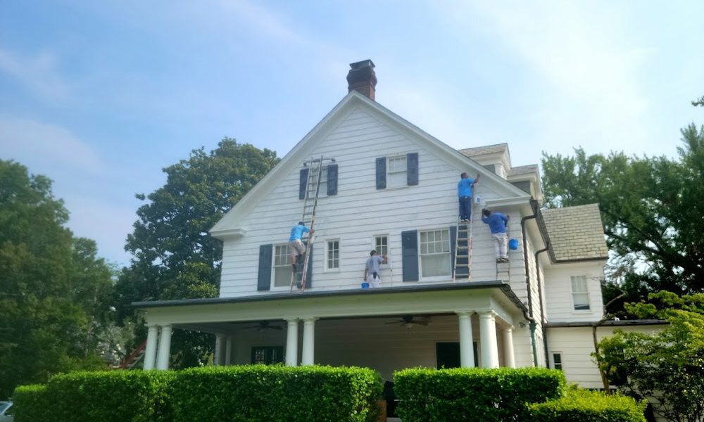 Bay Country Painters