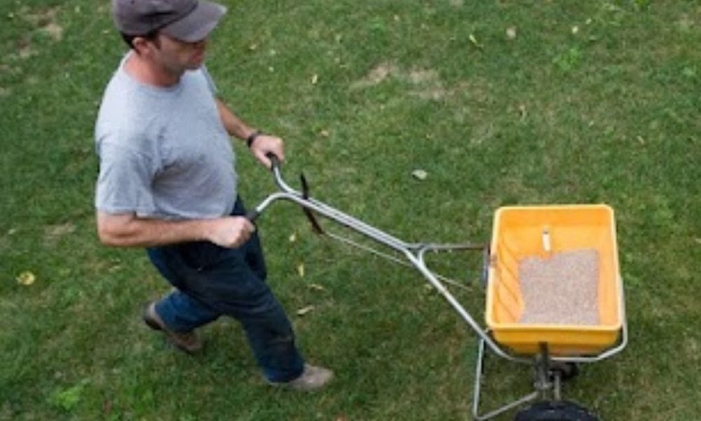 Beat The Weeds Organic Based Lawn Fertilizing