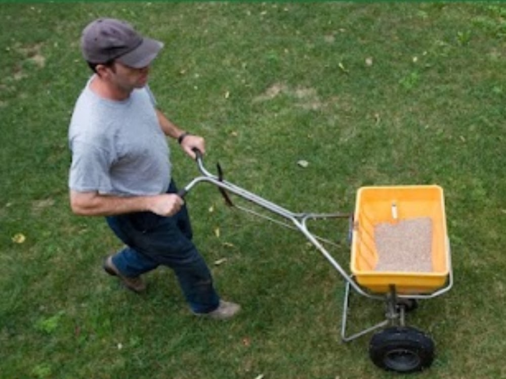 Beat The Weeds Organic Based Lawn Fertilizing
