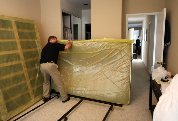 Bed Bug Exterminator Baltimore