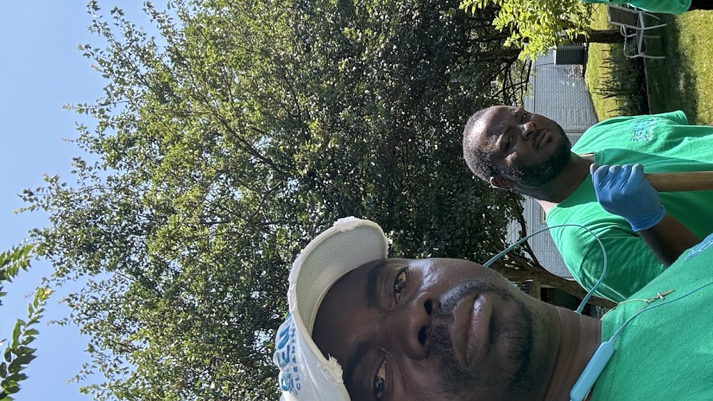 Ben & Y Cleaning Services LLC