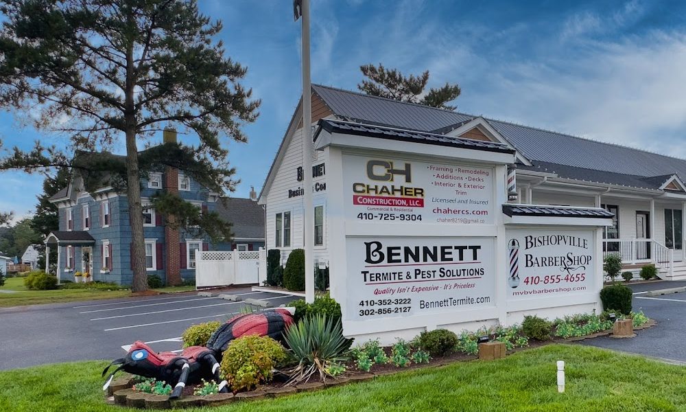 Bennett Termite & Pest Solutions