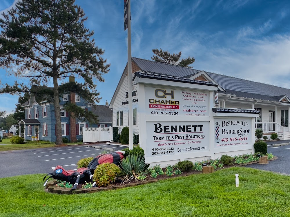 Bennett Termite & Pest Solutions
