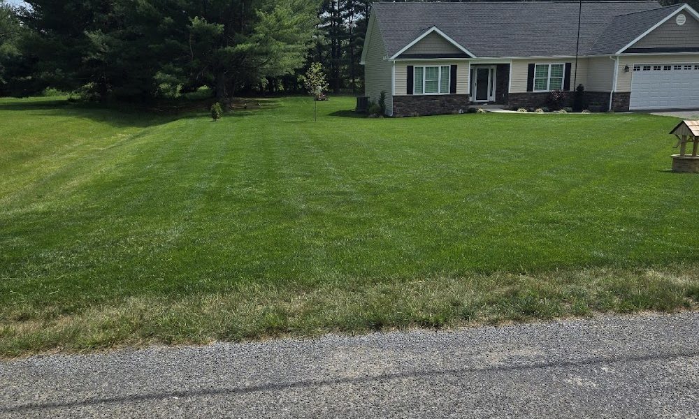 Brothers Landscaping and Lawn Care
