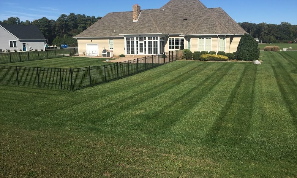 Bushwhackers Lawn Care