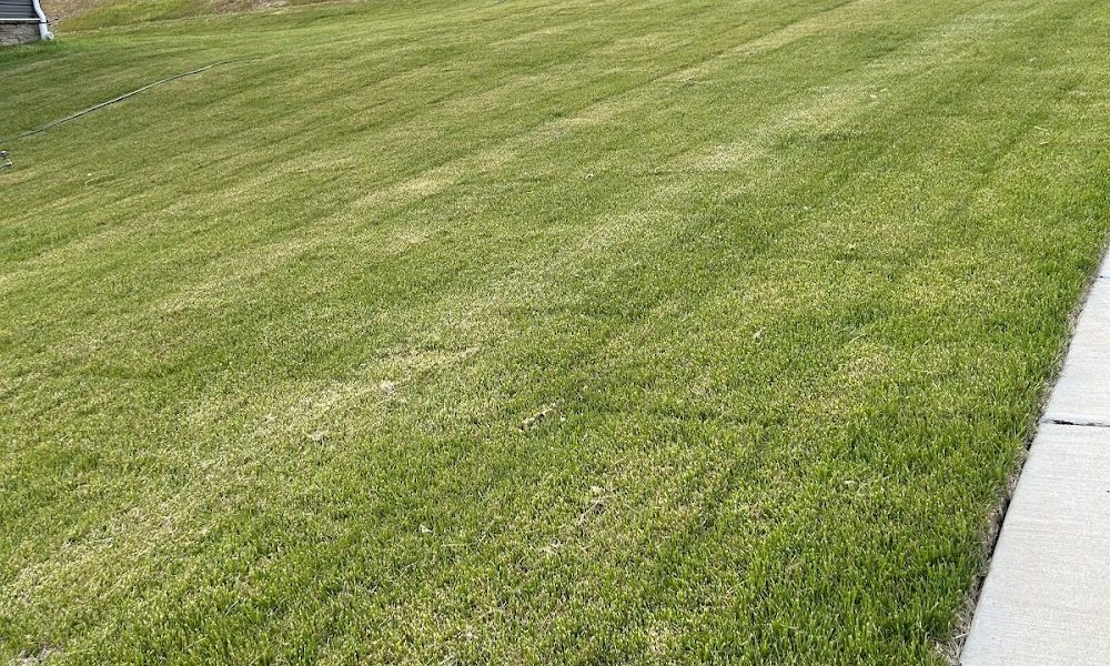 By Any Means Lawn Care and Junk Removal DC, Maryland, Virginia