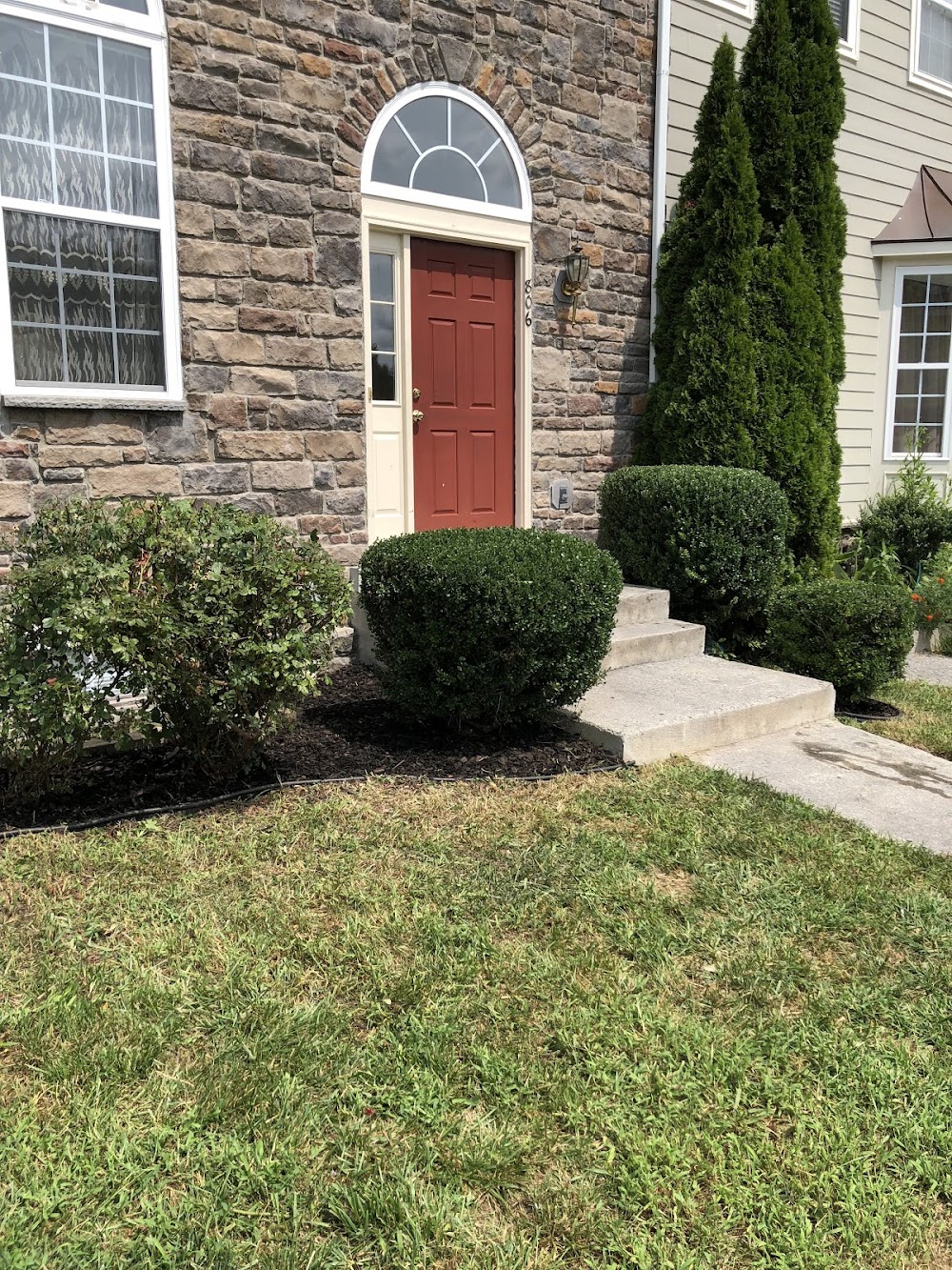 Camelia Lawn Care