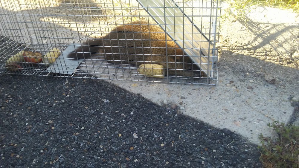 Carters Pest Control