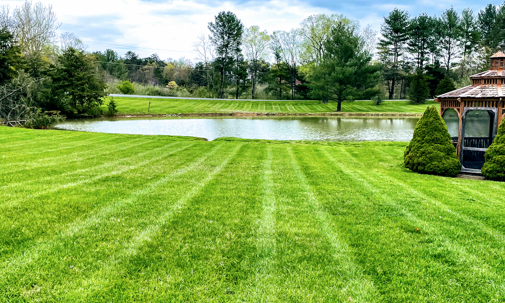 C&C Lawn Care LLC. | Lawn Care | Landscaping | Snow Plowing