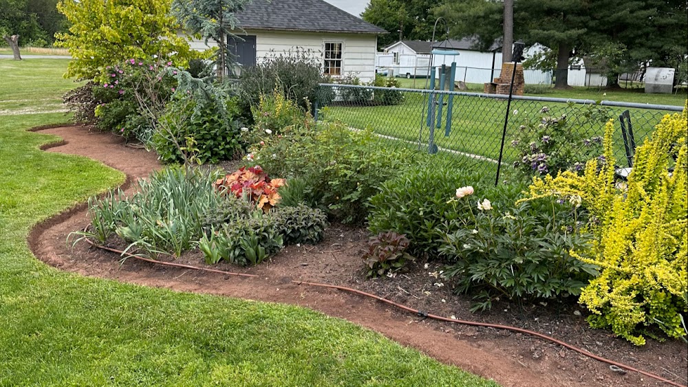 Chib Brothers Lawn and Landscape Rescue Services