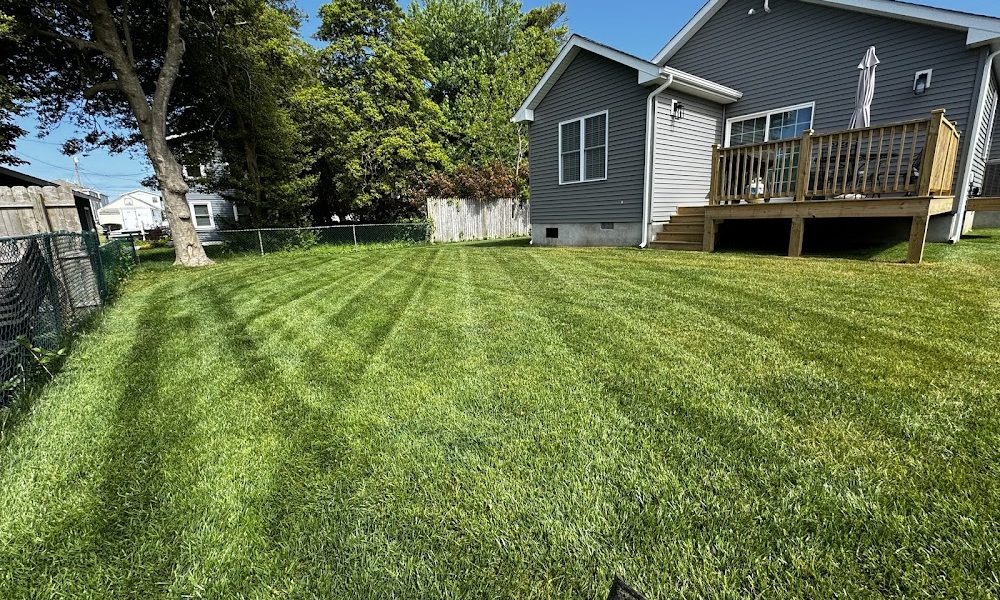 Cileone Lawn Maintenance