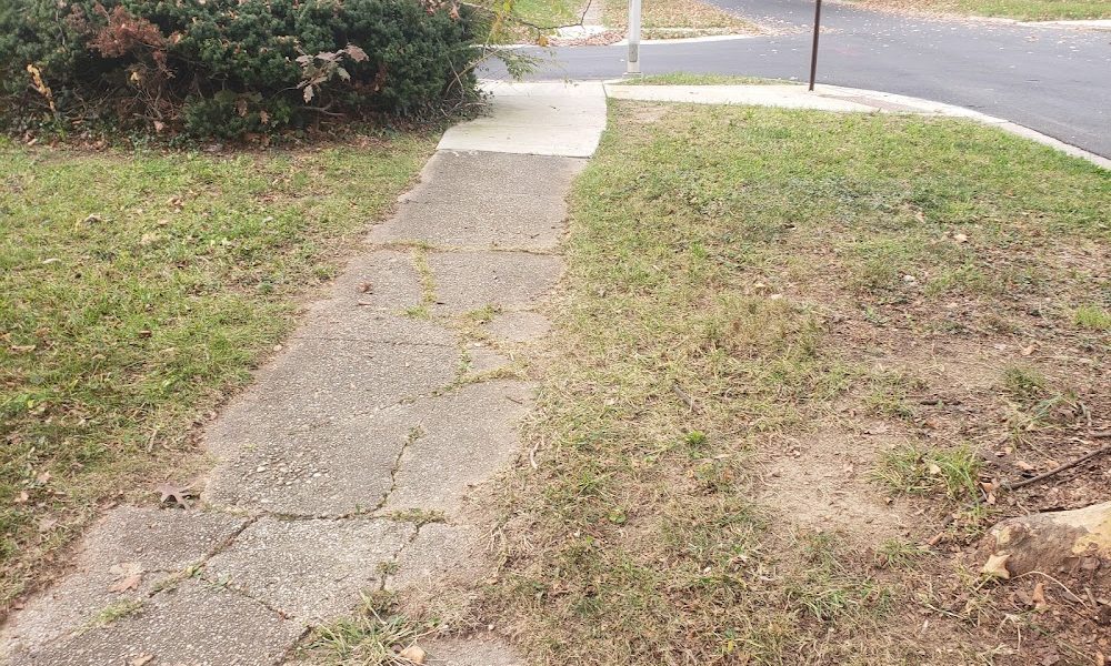 D.S.T. Landscaping LLC.