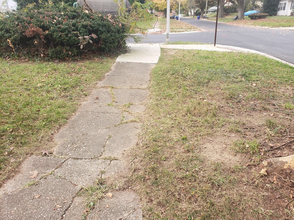 D.S.T. Landscaping LLC.