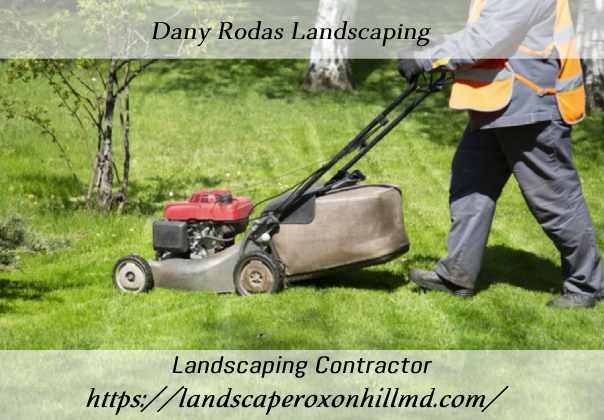 Dany Rodas Landscaping