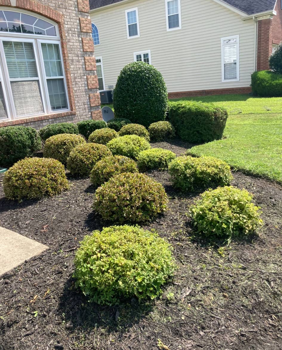 David Landscaping Services