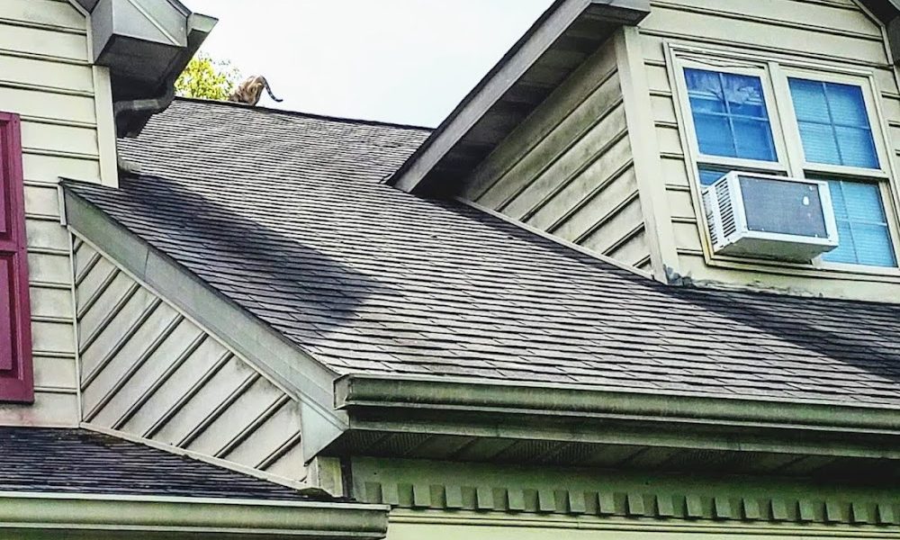Deardorff’s Painting & Pressure Washing