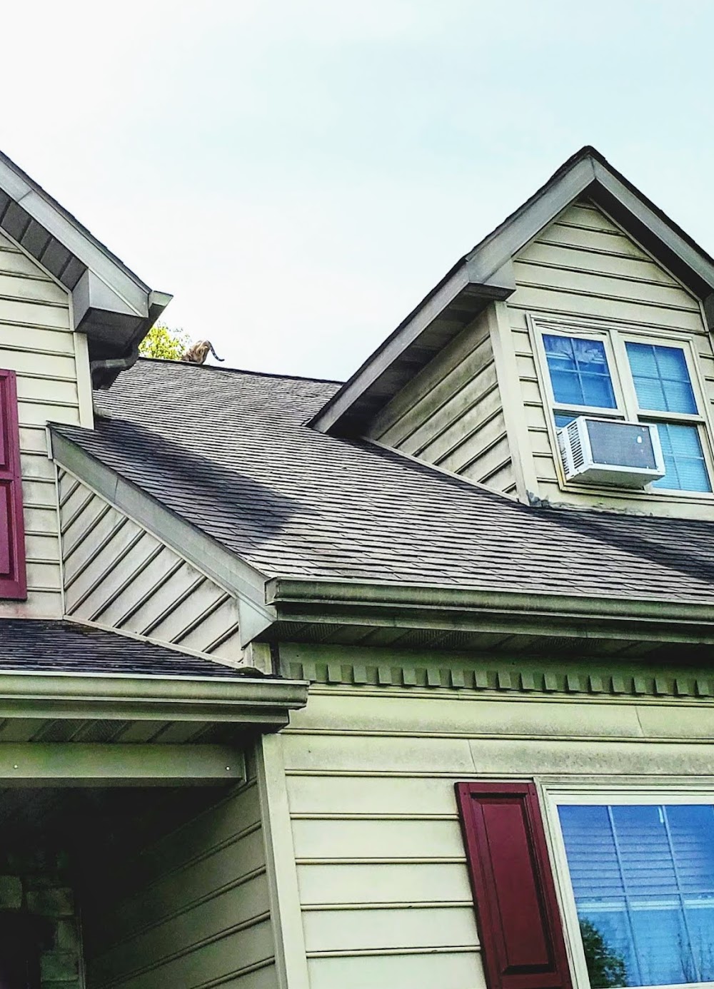 Deardorff’s Painting & Pressure Washing
