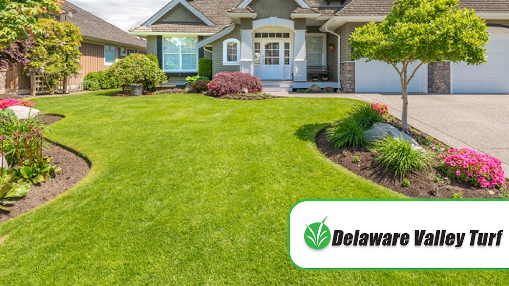 Delaware Valley Turf