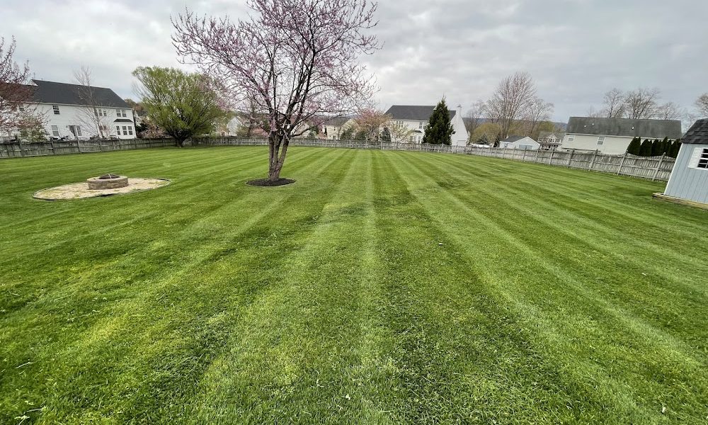 E & K Lawn Care and Landscaping, LLC