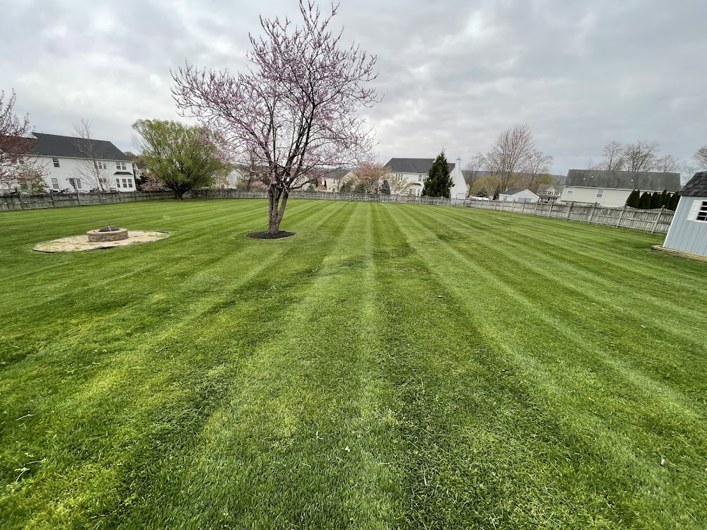 E & K Lawn Care and Landscaping, LLC
