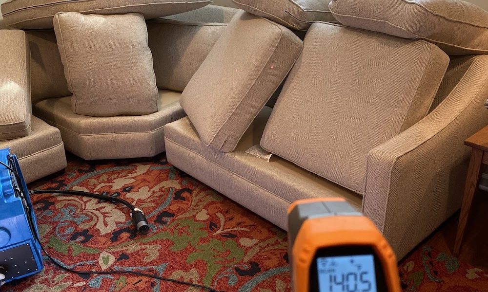 Eco Bed Bug Exterminators Baltimore