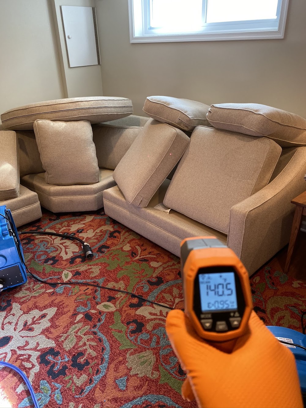 Eco Bed Bug Exterminators Baltimore