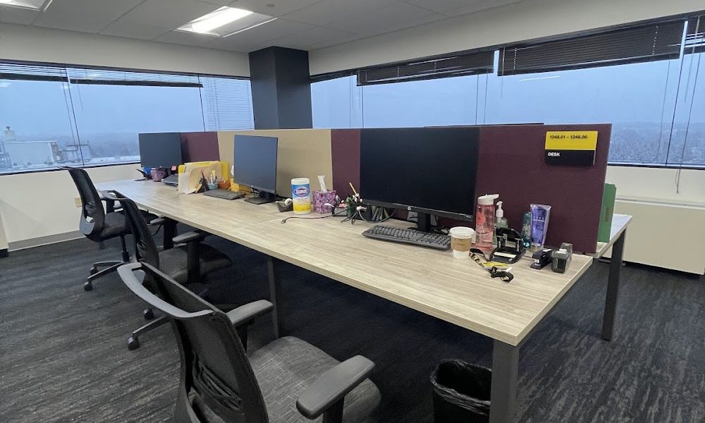 Eco-nomize Cleaning Services