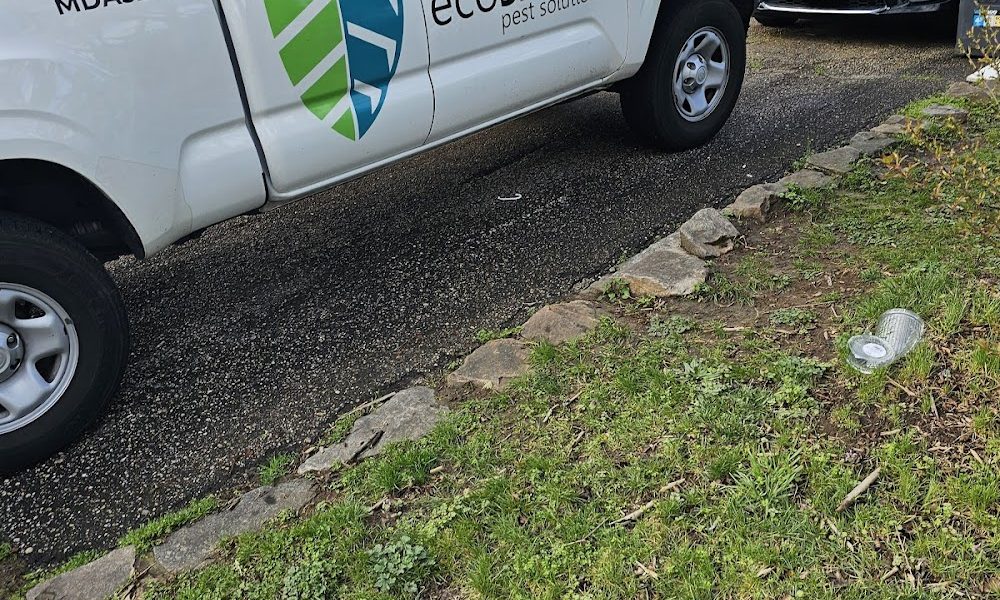 EcoShield Pest Solutions