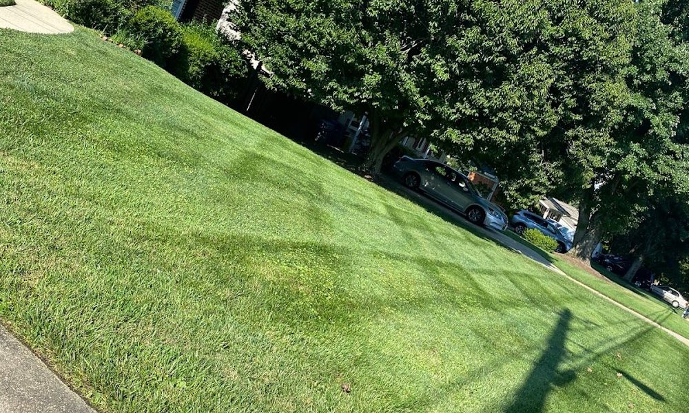E&D Landscaping LLC