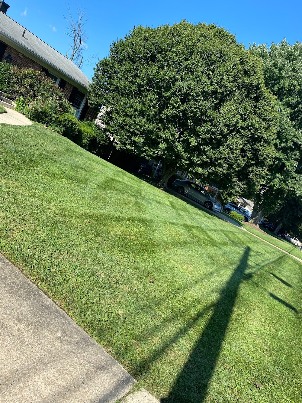 E&D Landscaping LLC