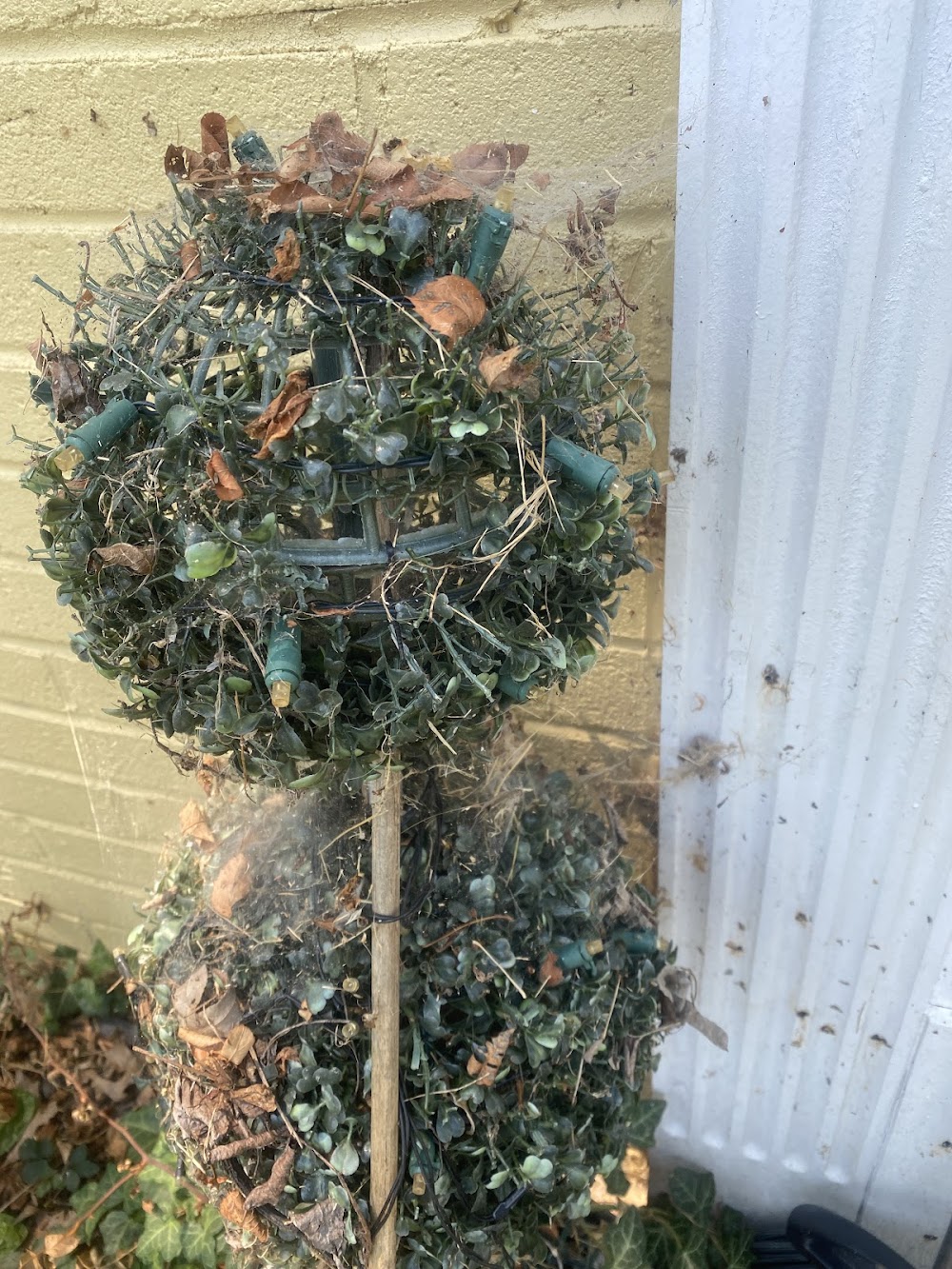 Environmental Pest Control