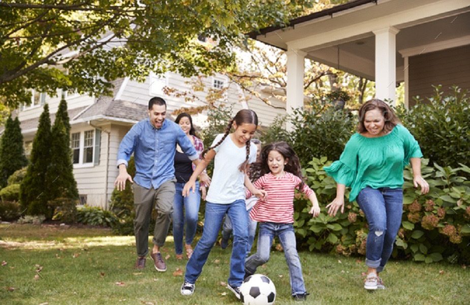 Environmental Pest Control