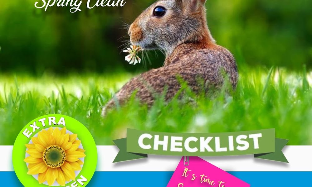 Extra Green Cleaning Service