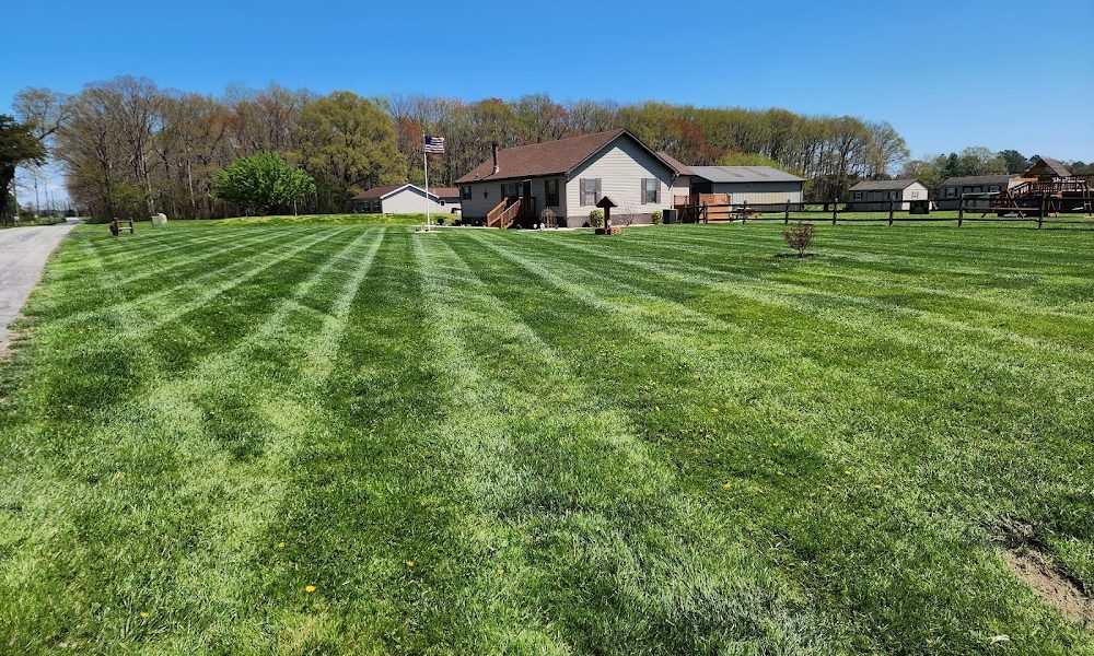 First State Lawn Care