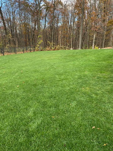 Forest Ridge Lawn Care LLC
