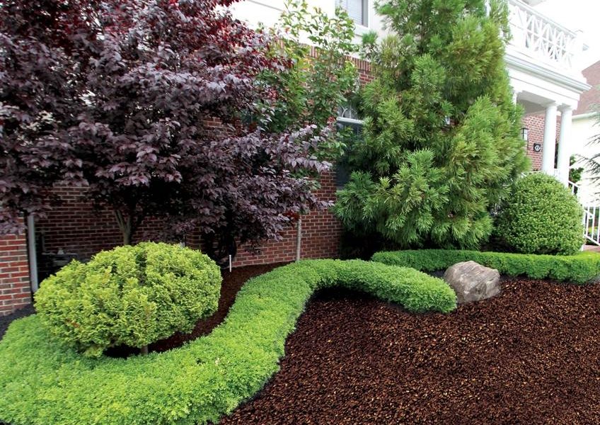 Frederick Lawn Care