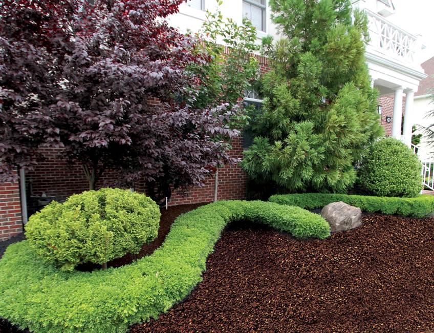 Frederick Lawn Care