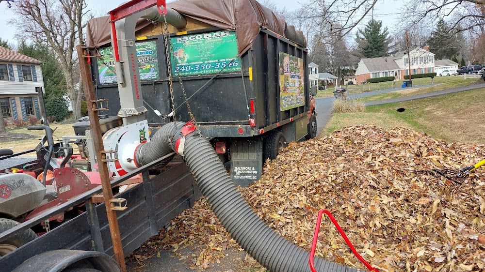 Full Green Landscaping llc