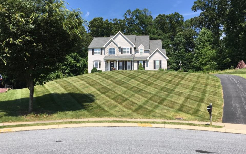 Green Frog Lawn Care