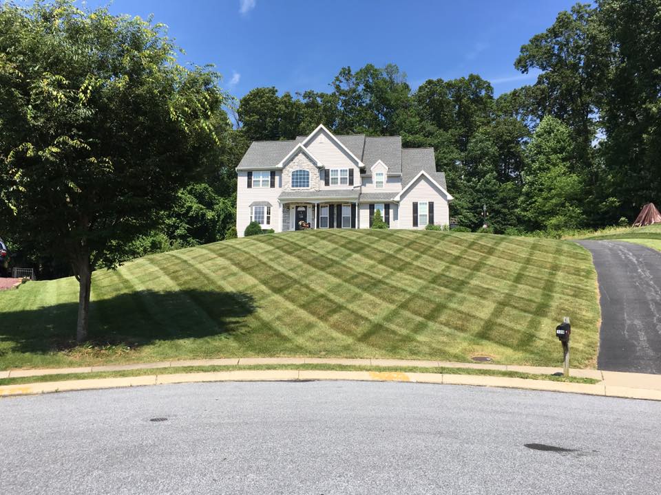 Green Frog Lawn Care