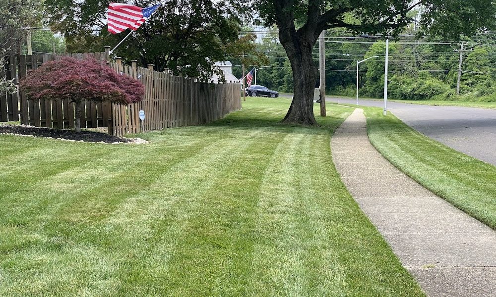 Green Lawn Fertilizing