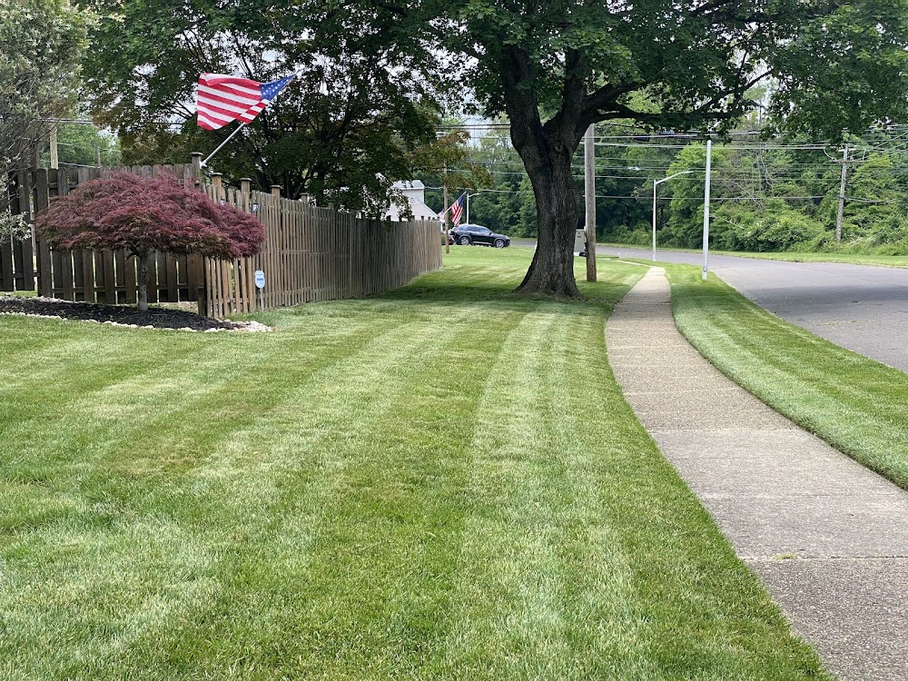 Green Lawn Fertilizing