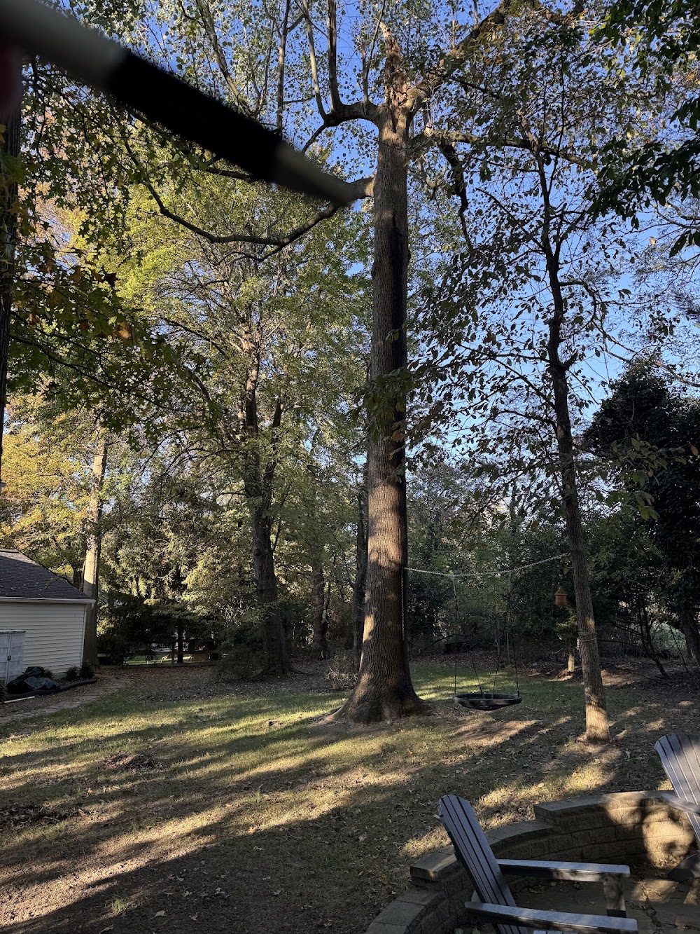 Green Pest Services