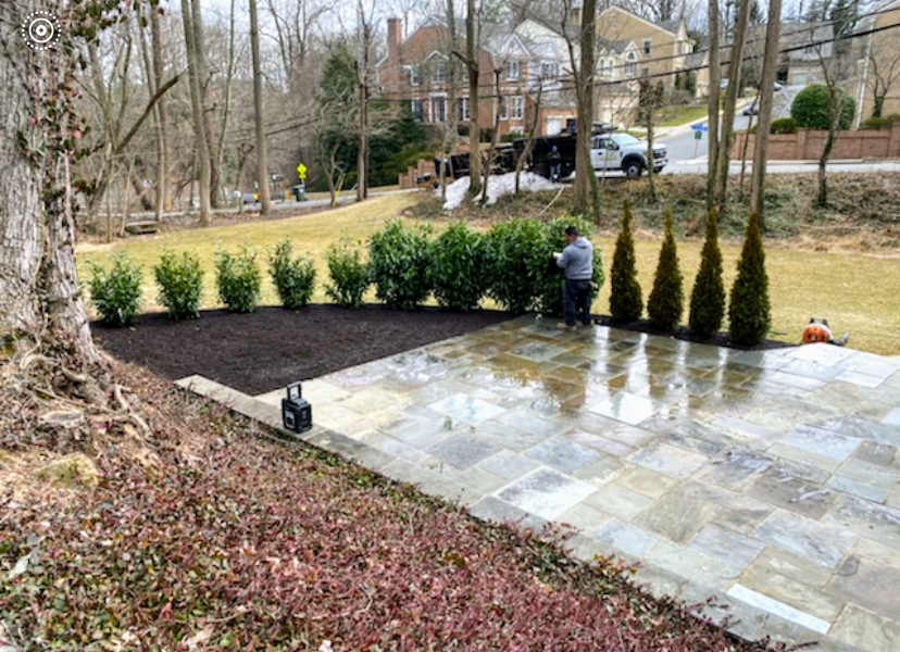 Greener Lawn Maintenance LLC