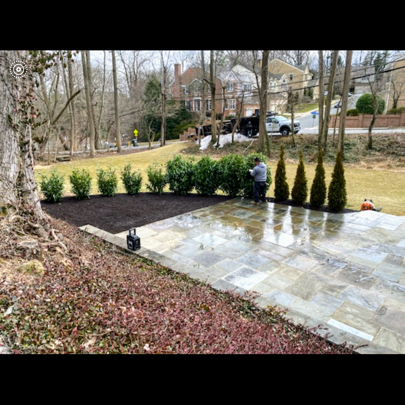 Greener Lawn Maintenance LLC