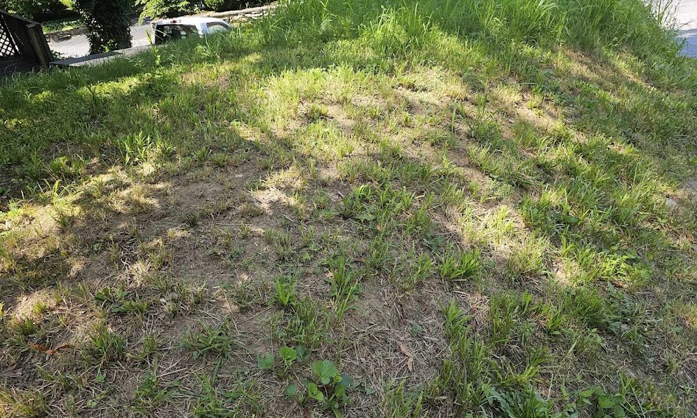 GreenPal Lawn Care