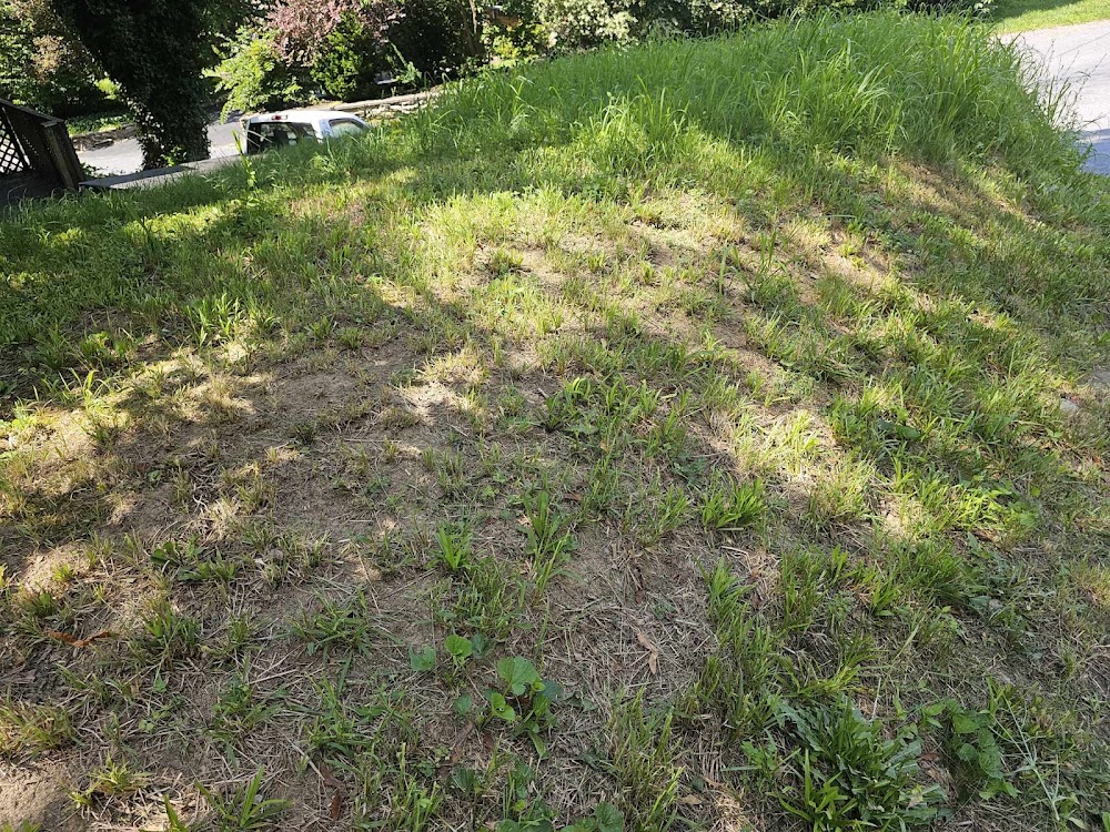 GreenPal Lawn Care