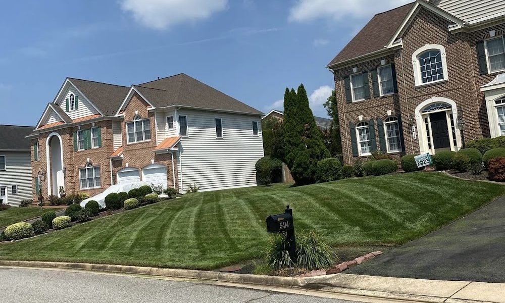 Ground Ace Lawn Care